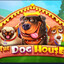 The Dogs House
