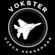 Vokster