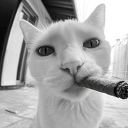 bobina - steam id 76561197967253278