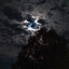 .truemeow's avatar