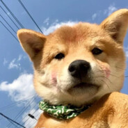 CSGO周年庆#王富贵