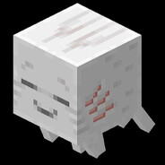 Avatar snapshot