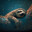 Sloths