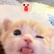 popkaogyrtsa228