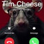 TimCheese#fapte