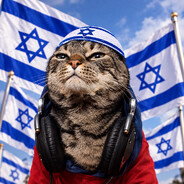 Israeli Cat avatar