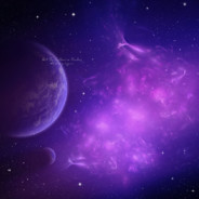 costco chicken drumstick