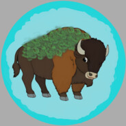 Amoldybuffalo