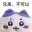 ——下等马分界线——
