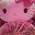 Duck_fresh_stick