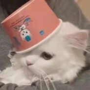 蛋宝咋就睡不醒捏