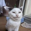 Y MENYA DCP)))