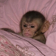 ApeS