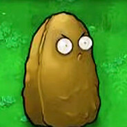 我从来不碰高坚果