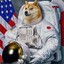 Space Doge