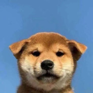 残血时在做什么？有没有空？