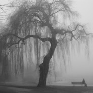 melancholy. - steam id 76561197971298198
