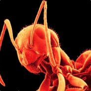 Red_Ant:--> - steam id 76561197971717817