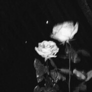 oh shit they are coming