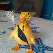 LmS