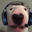 SpencerDog
