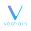The Vechain Vixen