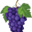 John Grape