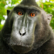 kuhvari avatar