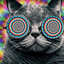 Trippin Cat