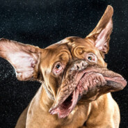 ГдЕ СуКа BASS АА ВоТ