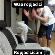 Ropjad Ci