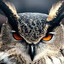 ow1-