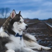 中国联通联不通中国移动移不动