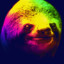 AngryGaySloth