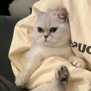 小枪一马不想玩啦