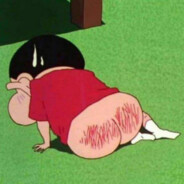 绿毛龟空袭瑜伽馆