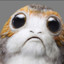 Porg