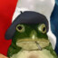 XenoFrog