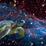 ★Universal Turtle★