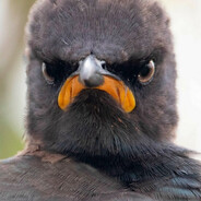 Оксана Михайловн