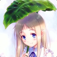 咖啡猫的仙人掌