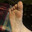 Foot