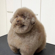 Грязный носок