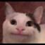 ^Mina^