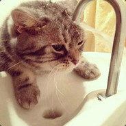 活蹦乱跳的300块