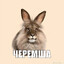 ЧЕРЕМША