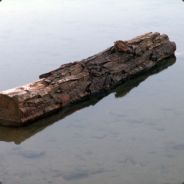 ghostriderjp [MrK1ttens]