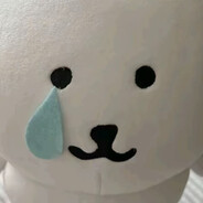 小小东（发烧版）