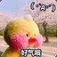 夏沐251