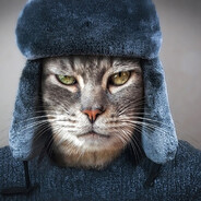 Kòt Akbas avatar